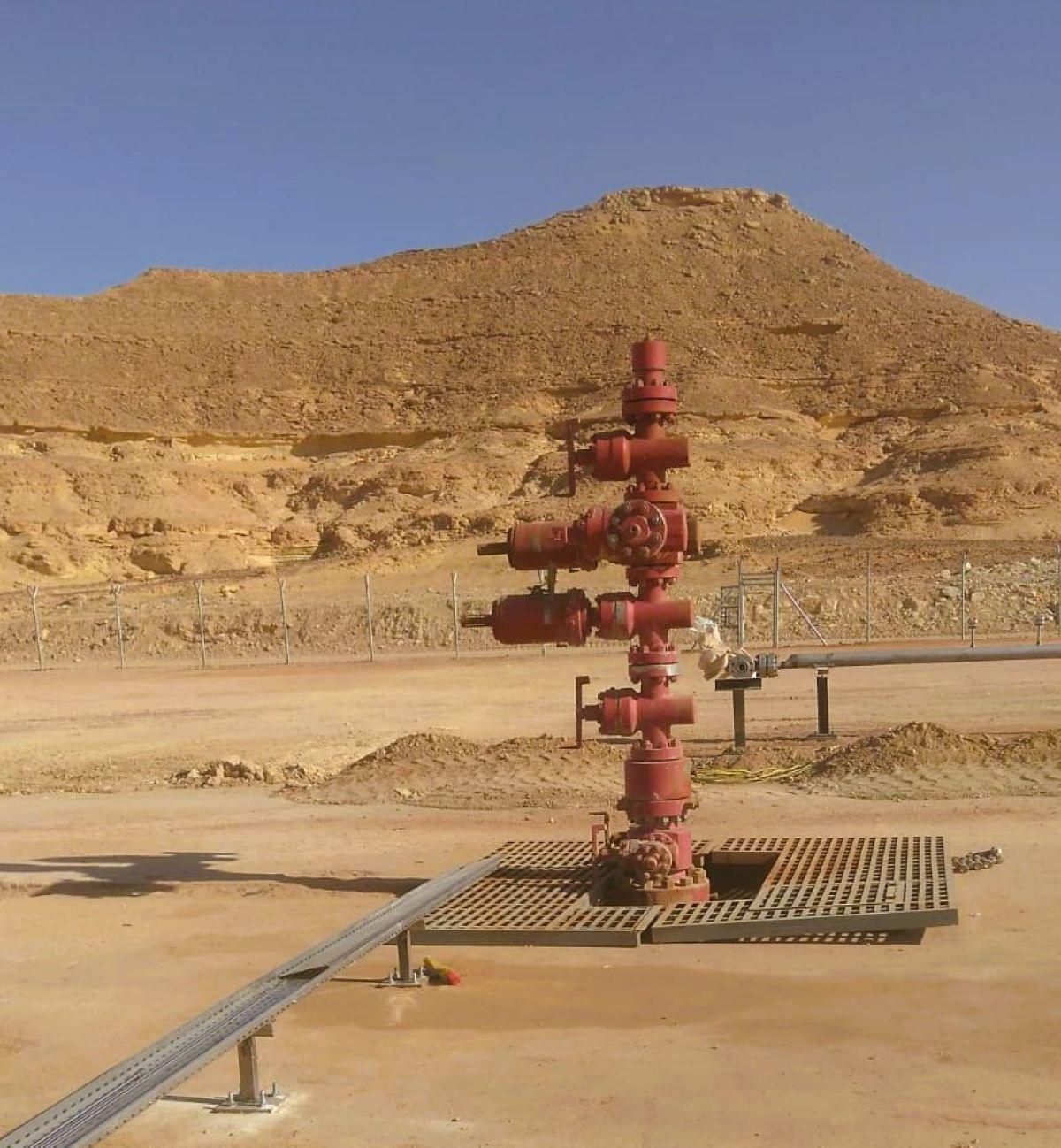 Wellhead 1200